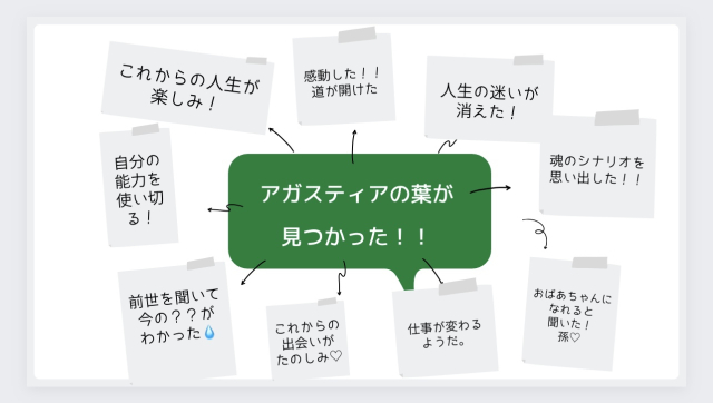 アガスティアの葉 ココエンザイム酵素は 心と体 魂 この３つのバランスを整えます